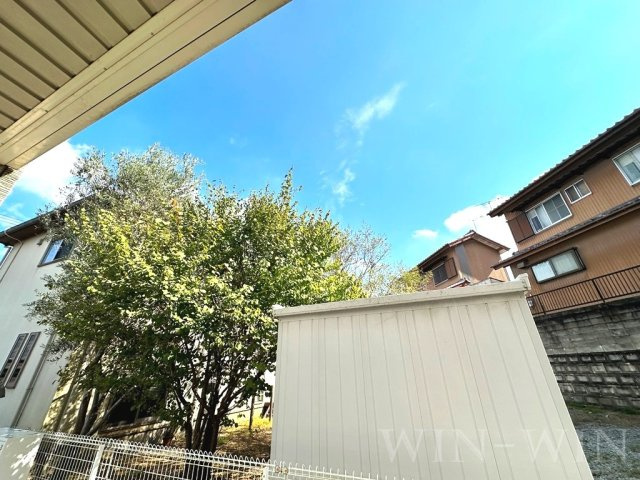 ミニョン アンジュの展望