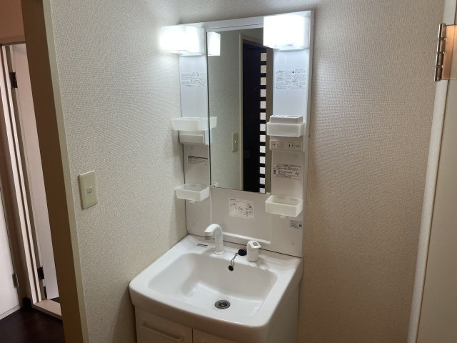 クレスコ Ｂ棟の洗面所