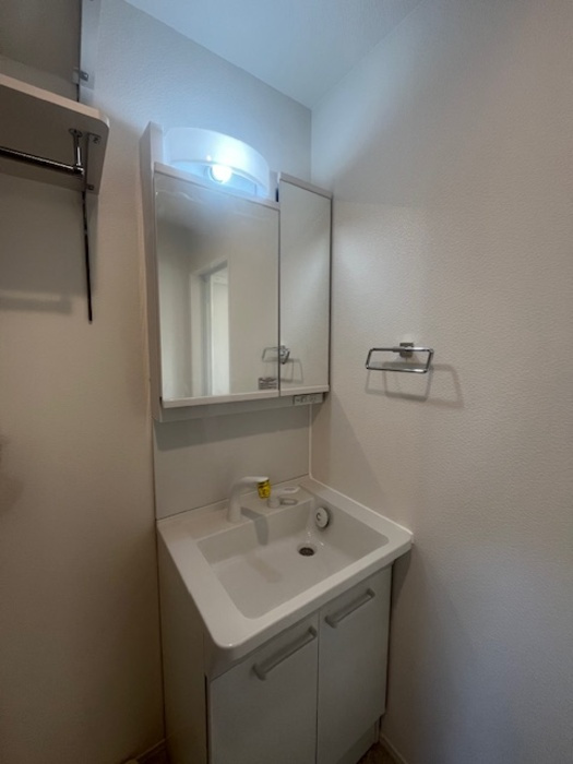 アネックスM（アネックスエム）【キャッシュバック対象物件】の洗面所|広い洗面スペース