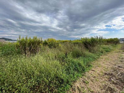 【その他】 | たつの市誉田町高駄/土地