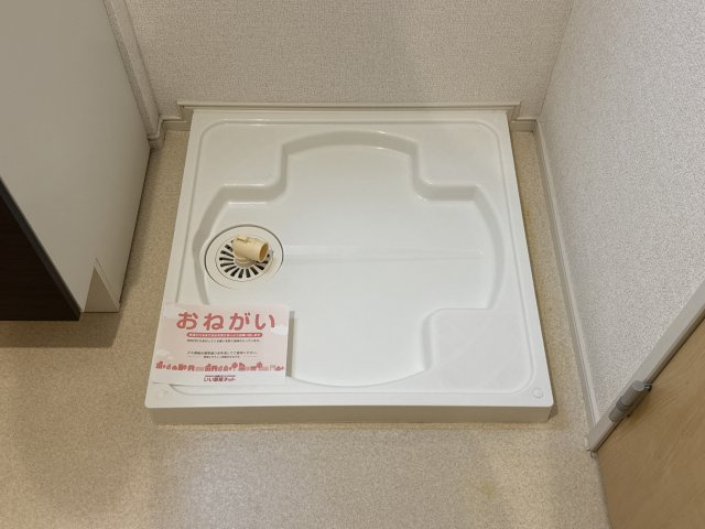 コレクト　ライルのその他
