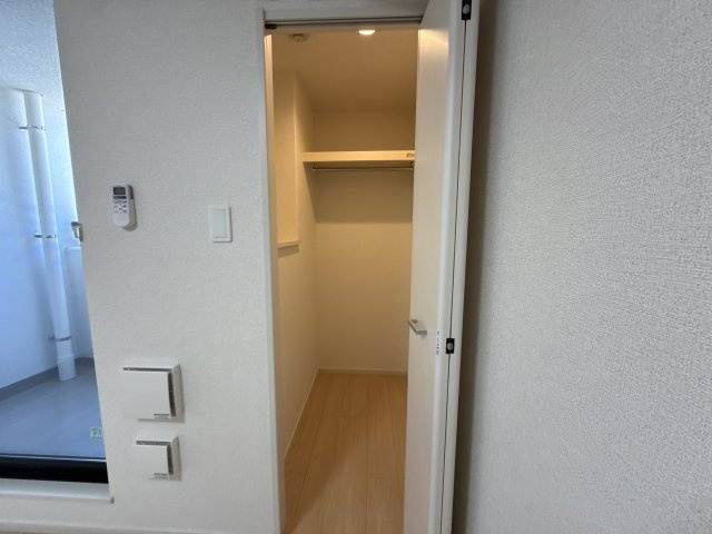 コレクト　ライルの収納