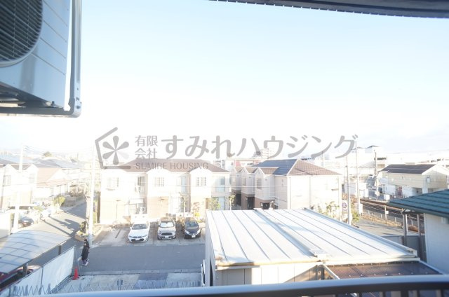 エルピスN4の展望