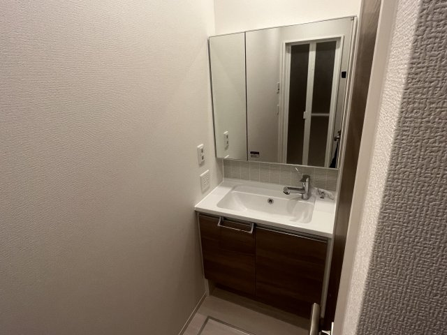 D-room五反田の洗面所