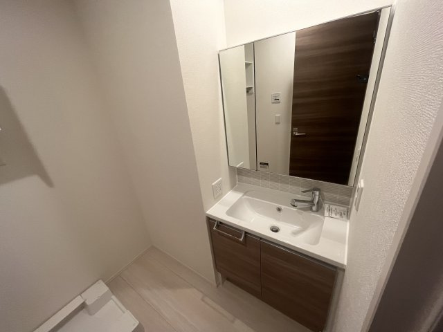D-room五反田の洗面所