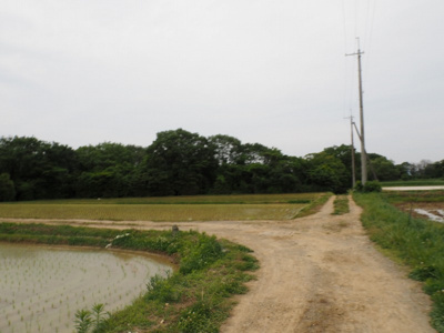 【外観】 | 小野市浄谷町　土地