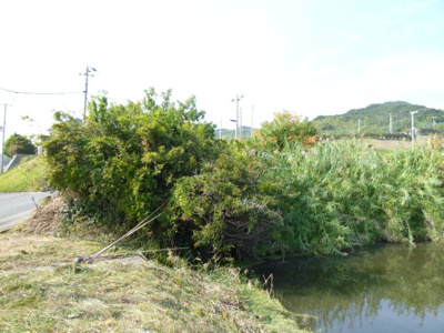 【周辺】 | 淡路市佐野売土地　600万円