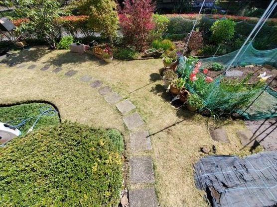 【庭】 | 大室高原別荘地　戸建