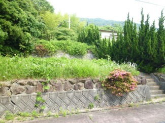【外観】 | 淡路市尾崎売土地　200万円