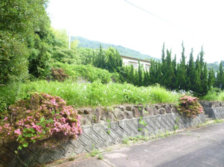 【外観】 | 淡路市尾崎売土地　200万円