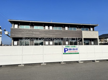 シェーネの画像