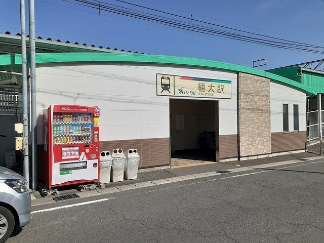 CottonHillsⅡの周辺