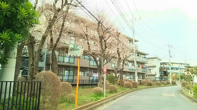 【外観】 | リヴェール　シモ