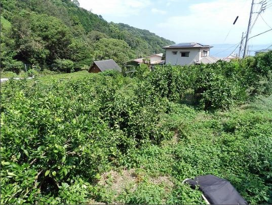 【外観】 | 熱海市下多賀　売地