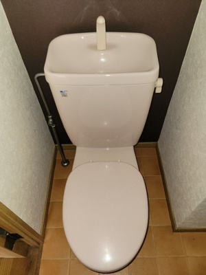 【トイレ】 | ダイナコートエスタディオレシェンテ | 別号室の写真になります。現況優先。