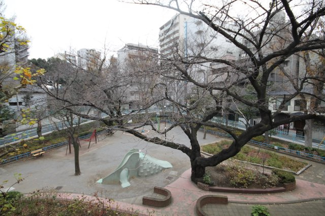 【展望】