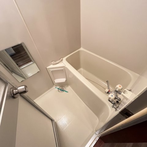 ライフプラザの浴室