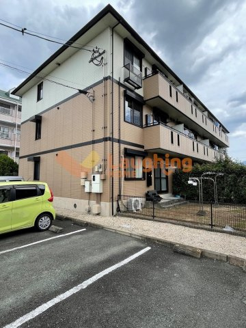ソールズベリー御井