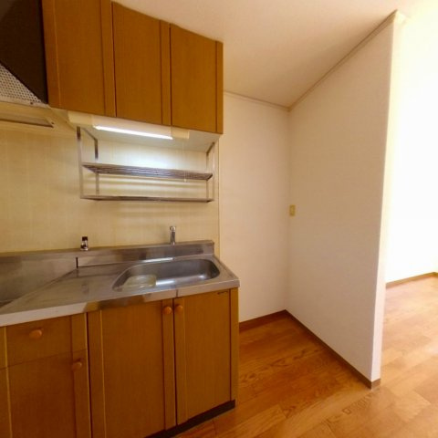 アフローテ山川のその他|同建物の別タイプ写真です。