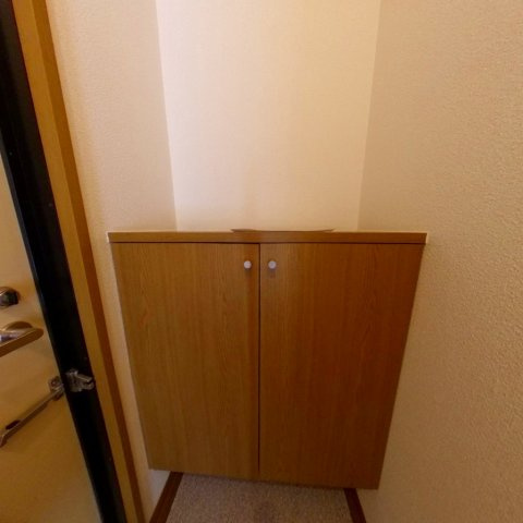 アフローテ山川の玄関|同建物の別タイプ写真です。