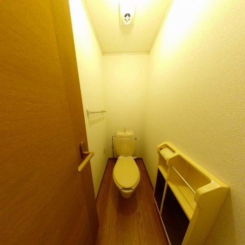 アフローテ山川のトイレ|同建物の別タイプ写真です。