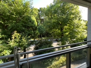 【展望】 | フィールファイン光が丘公園