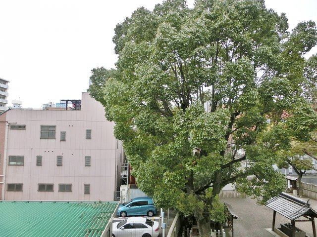 パナハイムなんばの展望