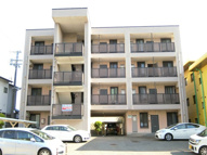 ニューパールハイツの画像