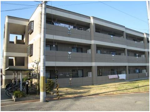 ジェントリーTMYの展望