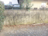 専用庭