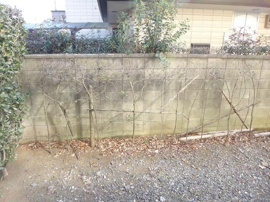 専用庭