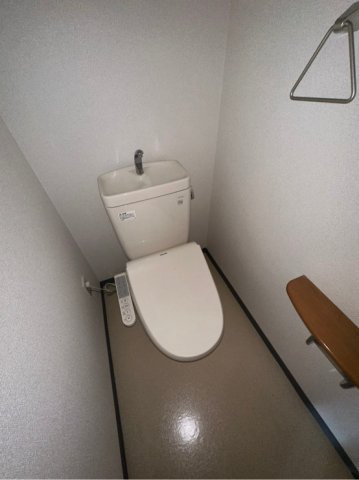 アンソレイェ国領のトイレ