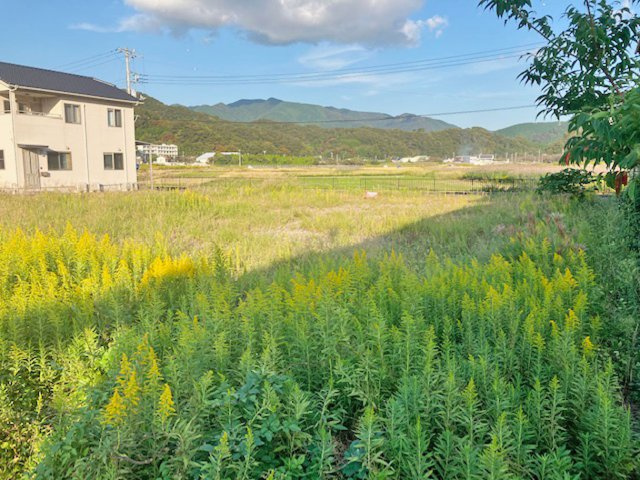 【外観】 | 賀茂郡松崎町 売土地 ET04860 | 松崎町江奈　外観