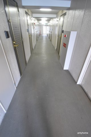 ハイムタケダT-8 仲介手数料無料のその他共用部分
