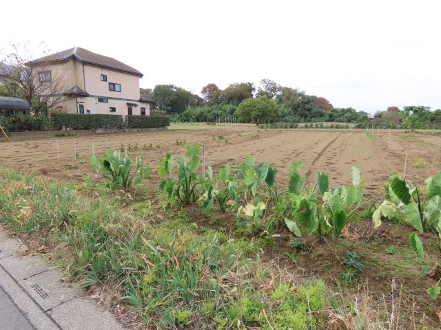 【外観】 | 坂戸市塚越売地