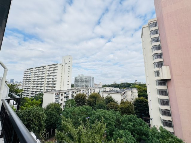 アルプスマンション西大久保の展望