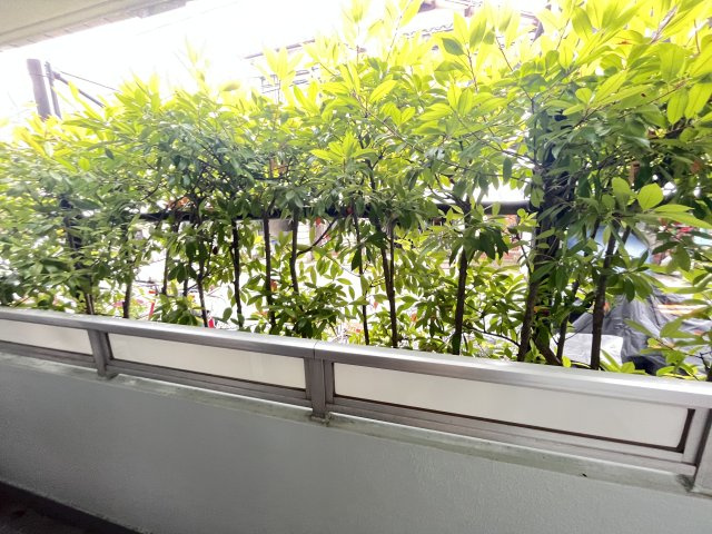 【展望】 | ヨルム稲津