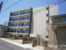 Callistの画像