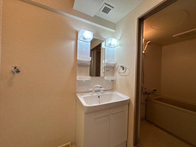 グローバル高田の洗面所