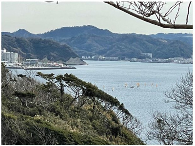【展望】 | 鎌倉市極楽寺１丁目　売地