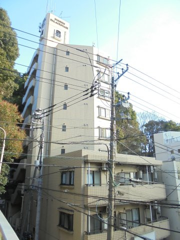 日神パレステージ市川の外観