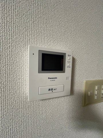 ゾーンエバーグリーンのセキュリティ