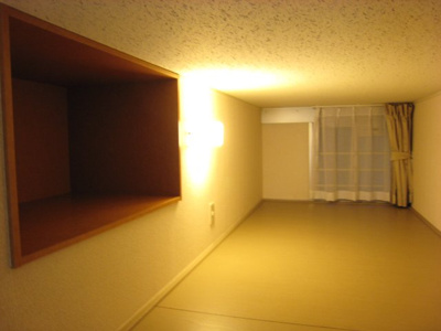 【その他】 | Ｋ・Ｓアグリ壱番館 | 奥行きのあるロフトなので、収納スペースとしてもご利用できます