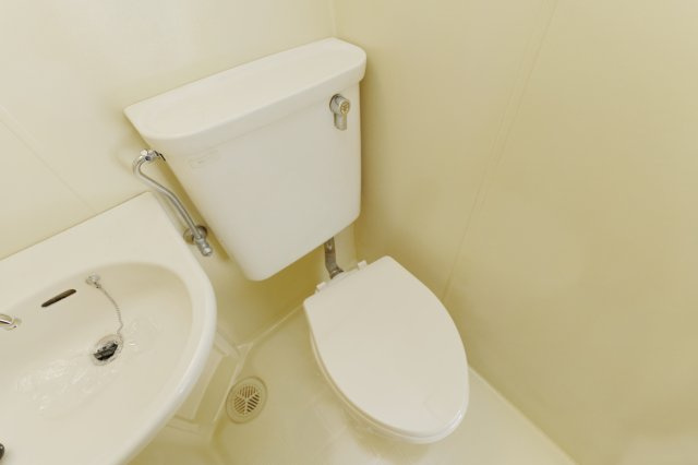 グレースハウスゼロ賃貸のトイレ