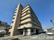 フローラルコートの画像