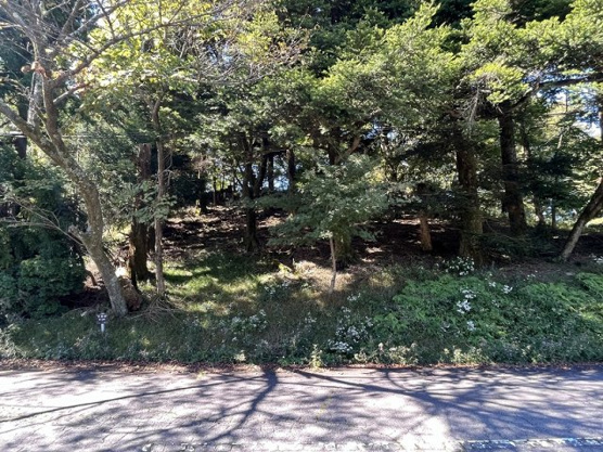 【外観】 | 東急天城高原別荘地　売地