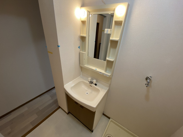 シャルマン岩屋の洗面所