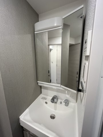 【洗面所】S-RESIDENCE国泰寺町一丁目