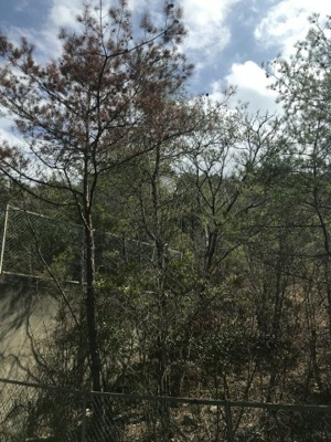 【外観】 | 【加東市】売別荘地