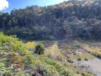 【周辺】 | 丹波篠山市小田中　土地